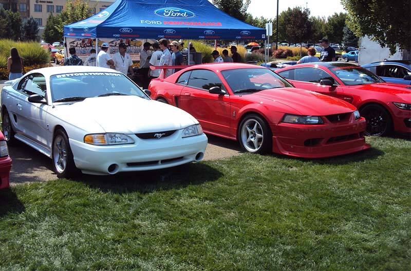 Cobras parked on grass